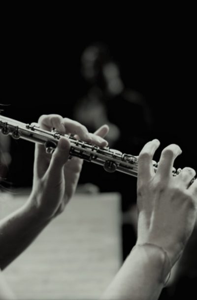 Curso de Flauta-Transversal Escola de Musica Online Como Toca